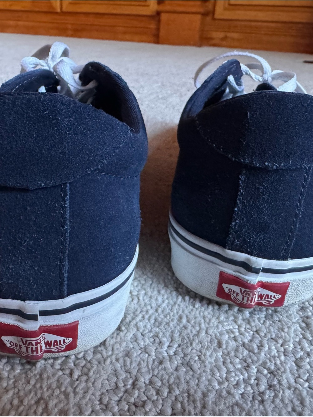 Vans men’s Navy Canvas Low-Top Sneakers